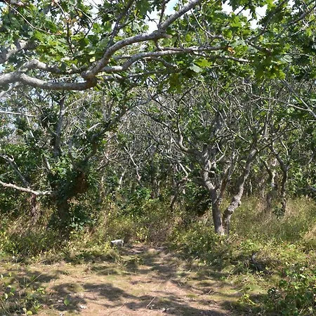 Casa de Férias 8 Person In Ebeltoft-by Traum Ebeltoft